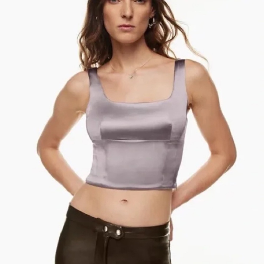 New Aritzia Wilfred Shine Bustier in Dove Mauve - NWT - Size S